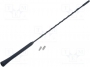 ANT. 36